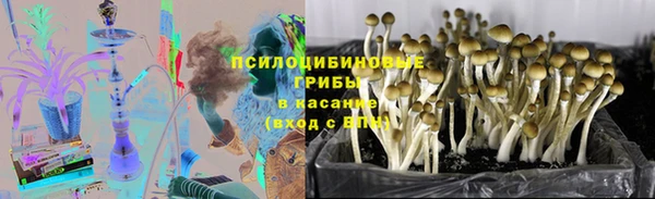 гидра Богородицк