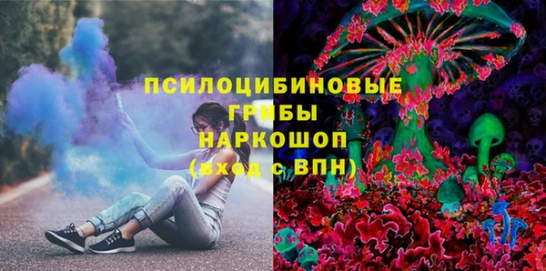 дживик Бронницы