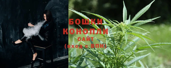 стаф Белокуриха