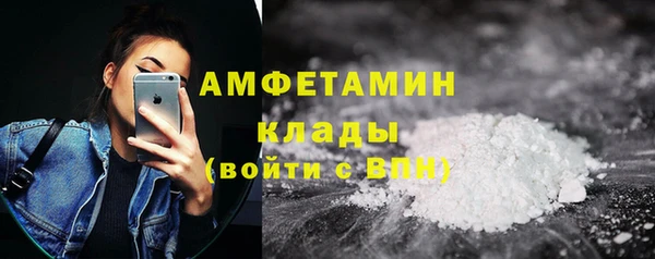 гидра Богородицк