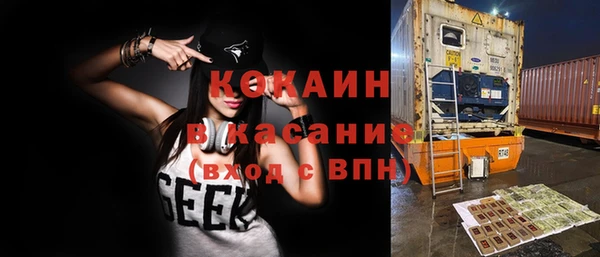 ПСИЛОЦИБИНОВЫЕ ГРИБЫ Богданович