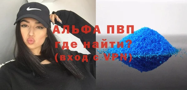 ПСИЛОЦИБИНОВЫЕ ГРИБЫ Богданович