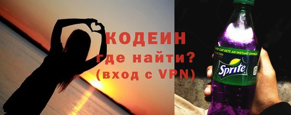 ПСИЛОЦИБИНОВЫЕ ГРИБЫ Богданович