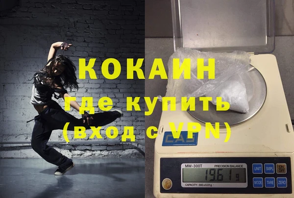 стаф Белокуриха