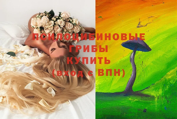 стаф Белокуриха